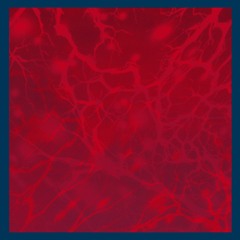 Tresque - Solstici (OUS016 - 12" + digital)