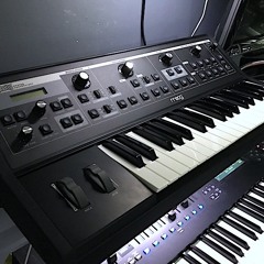 Moog Slim Phatty Polychain x3 Glide