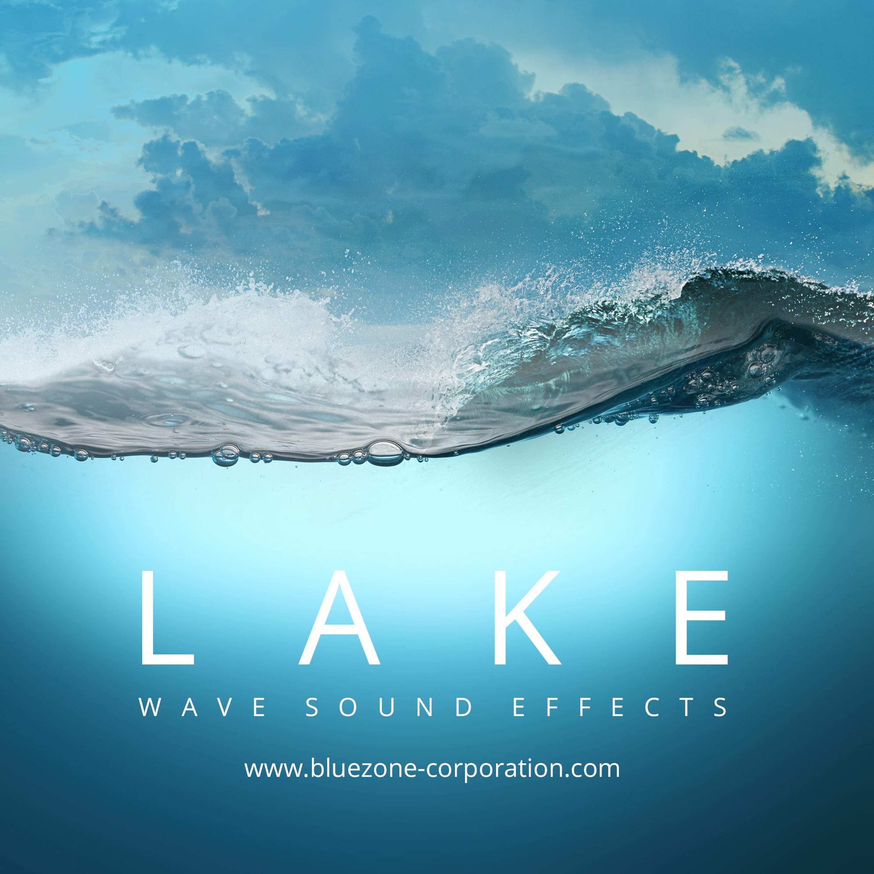 Bluezone Corporation
