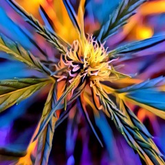 Alborosie_Police_Hypegrade Bootleg Mix!