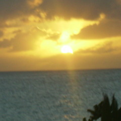 Nitol in  bora