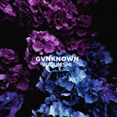 GVNKNOWN w/gun.shi