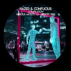 Various Artists - HZDCFCVA002 [Full Preview]