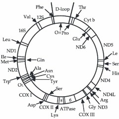 EAP? OR HEAP? (easy demo)