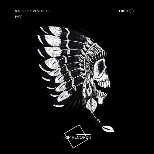 Stream N3K & Enes Beskardes - Wild by Trip Records | Listen online for ...