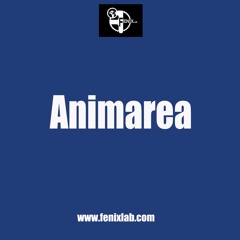 Animarea - In Fondo Al Bicchiere