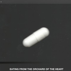 Eating From The Orchard Of The Heart - IOD/VA