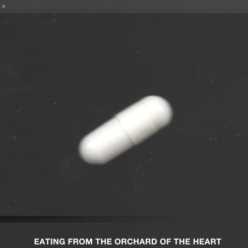 Eating From The Orchard Of The Heart - IOD/VA