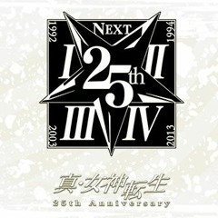 Tokyo - (SMT IV) - Shin Megami Tensei 25th Anniversary