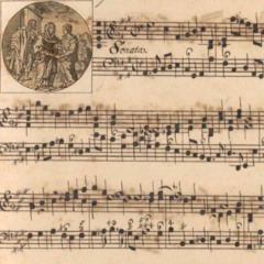 Excerpts - Biber's Rosary #6 arranged for solo violin - S. Cubarsi (live performance 2018)