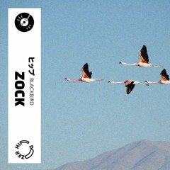 Zock - Blackbird