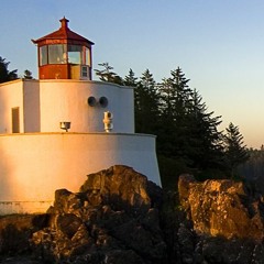 All My folks Be Golden