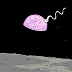 What To Expect When You're Expecting In Space