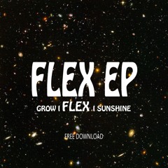 Sunshine  / FLEX EP ( Free download )