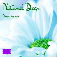 NaturalDeepNovember2018