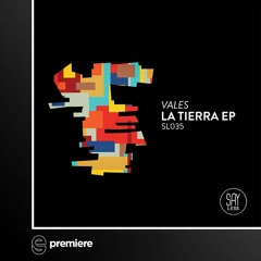 Premiere: Vales - Emotion -  Say Less Records