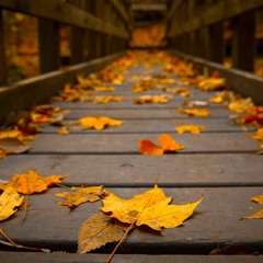 1. Silent Island - Eclipse