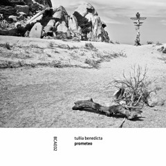 Tullia Benedicta - To The Styx [BCAE02 | Premiere]