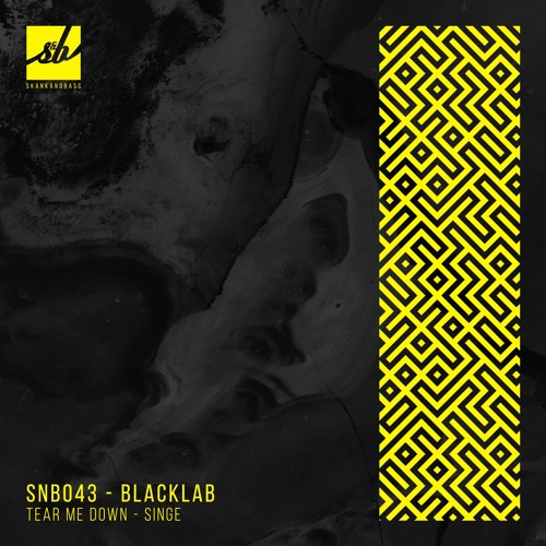 Blacklab - Singe