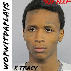 wopwitdaplays x tracy - rip peep (ghostboysora remix)