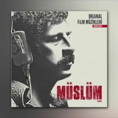 Timuçin Esen - Taşa Verdim Yanımı (Müslüm Baba Orijinal Film Müzikleri)