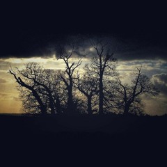Lost