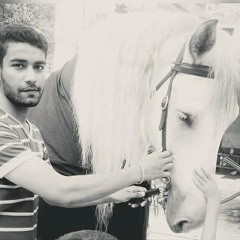 Wa Hasan e Sabz e Qaba NOHA
