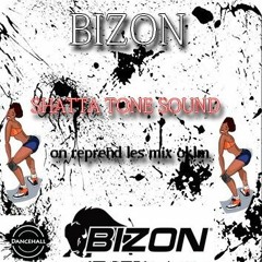 🔥(On Reprend Les Mixx Oklm) Dj Bizon (Shatta Tonn Sound)🔥
