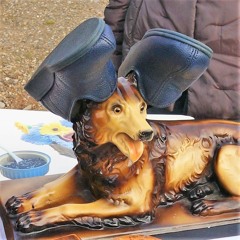 Chienne De Vie