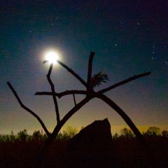 New Horizon with Jim Pisano