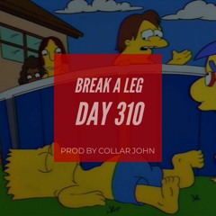 Break A Leg (Day 310) Prod Collar John