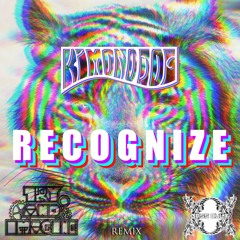 Kimono Dog - Recognize (Try And Imagine Remix)