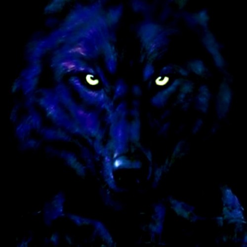 G aka .iG - The Wolf (feat Jason Warhouse)