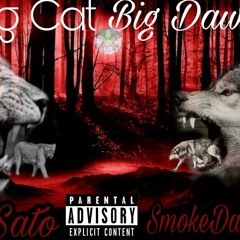 Big Cat . Big Dawwg