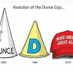 Dunce