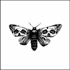 CrazyTown-Butterfly (Mrcl edit) (FREE DOWNLOAD)