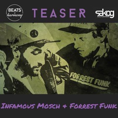 Beats N´Harmony Teaser : Infamous Mosch & Forrest Funk In The Mix