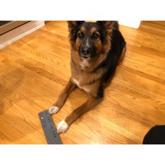 Raydon Crayon 20181107