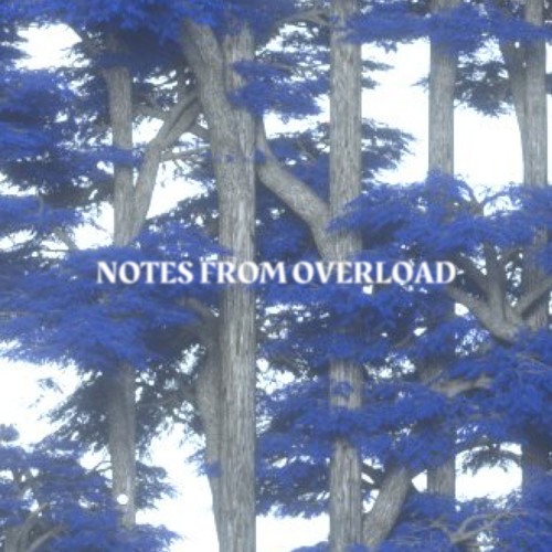 Notes from Overload 011 (feat. Audion, Octo Octa)