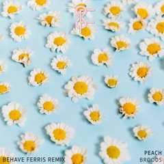 Broods - Peach (Behave Ferris Remix)