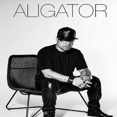 Omid - Persian Stage 15 (Dj Aligator Music)