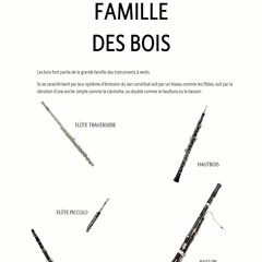 OSR - Boléro de Ravel / Bois