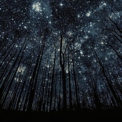 Claurish - Wonderland