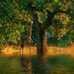 Yung Dracula x Sancho x Klausao - Tropical (prod. by educatedBeats)