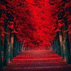 Stuck In My Head (Prod. Cael)