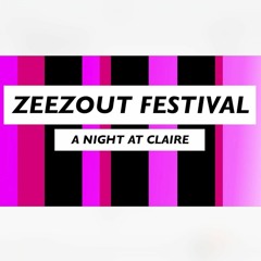 De Sluwe Vos at ZeeZout Festival after (Club Claire, Amsterdam)