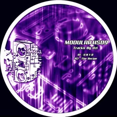 UZI - THE RECIPE - MODULAR HS 09