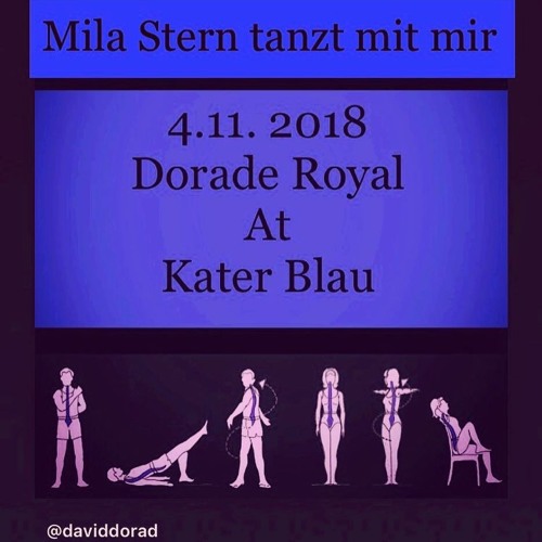 Mila Stern - Kater Blau - Dorade Royal