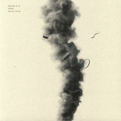 Edward - Cicada