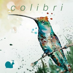 colibri